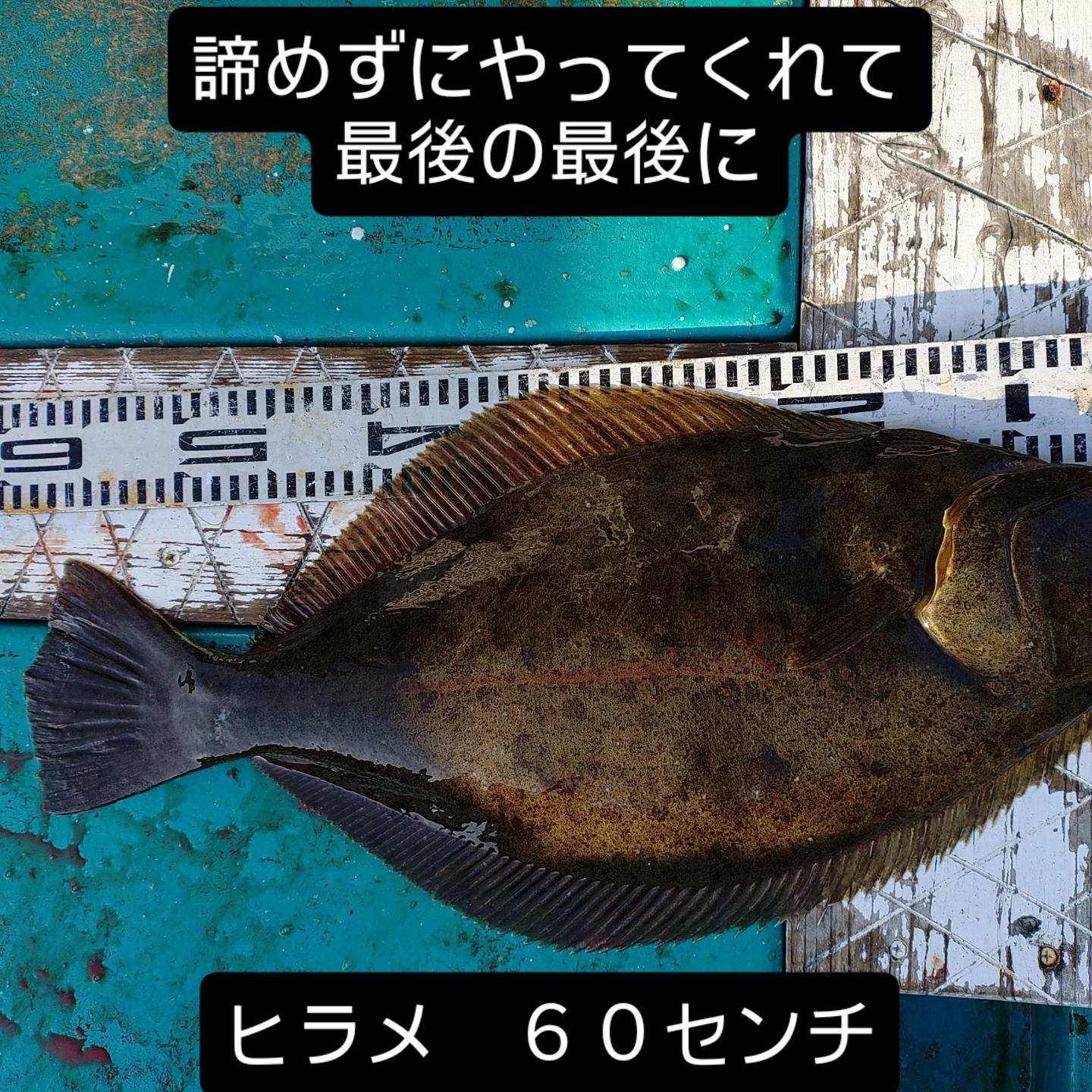 IMG_20260322_120618_800