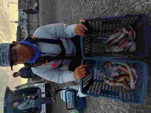 KIMG20260718_054902967